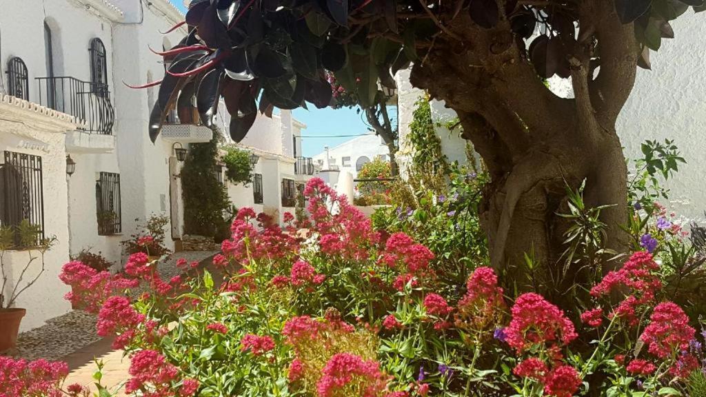 Apartamento Capistrano Village Nerja Esterno foto